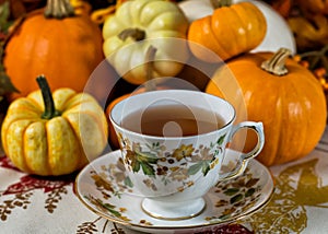 Cup of pumpkin spice tea