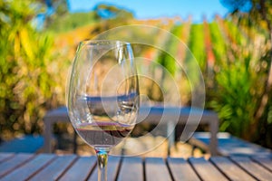 Cup of red wine on vineyard background in waiheke island in auckland, in a beautiful blue sky in summer time