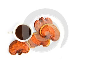 Cup of reishi tea and fresh Lingzhi mushroom on white floor.