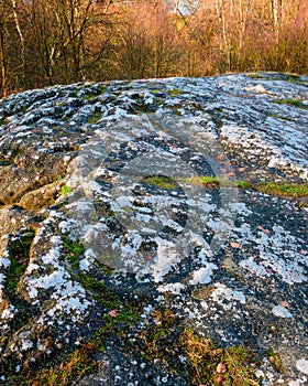 Cup and Ring marked Rock Art at Routin Lynn