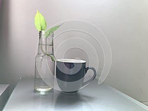 A cup of tea with baby plant