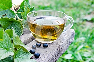 A cup of tea with black currant leaves. Tea with currants on a wooden table in the open air