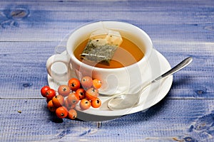 Cup of tea on blue background close up. Gourmet delicious taste. Herbal tea. Ceramic cup hot fresh brewed tea beverage