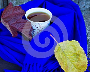 the Cup of tea in a blue scarf