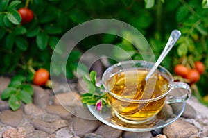 Cup of tea with canker-bloom