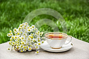 Cup of tea and chamomiles. Fresh chamomile and hot tea. Useful tea in the garden.