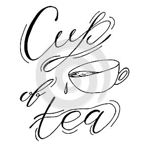 Cup of tea, coffee. Hand drawn sketch  illustration on white background, design elements. Menu design. Lettering