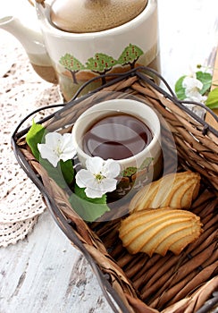 Cup of tea, cookies and spring branch