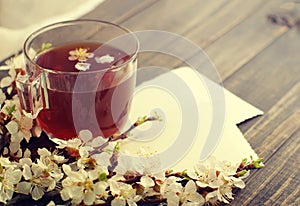 Cup of tea, empty old photo and blossoming apricot branch