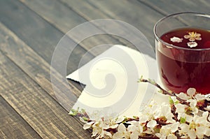 Cup of tea, empty old photo and blossoming apricot branch