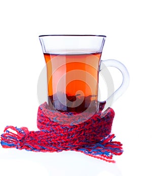 The Cup of Tea Entwined with Scarf