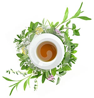 Cup of tea with fresh herbs