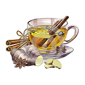 A cup of tea with ginger, cinnamon and star anise. A glass transparent cup filled with tea. a hand-drawn watercolor