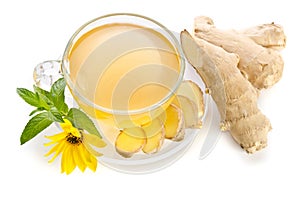 Cup of tea with ginger slices and Echinacea flower