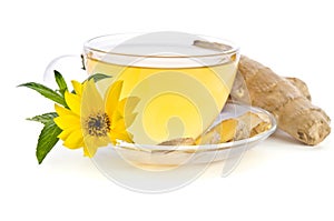 Cup of tea with  ginger slices and  Echinacea flower near on  white background