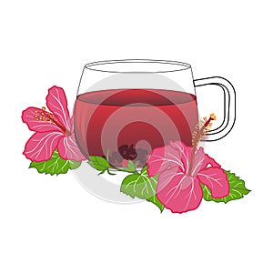 Cup of tea with hibiskus rose flowers, karkade photo
