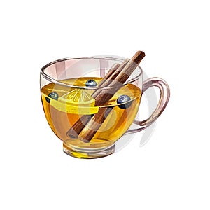 A cup of tea with lemon and cinnamon. Glass transparent cup filled with tea. Watercolor illustration.