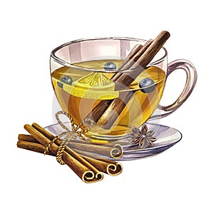A cup of tea with lemon and cinnamon. Glass transparent cup filled with tea. Watercolor illustration. Isolate on white