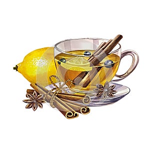 A cup of tea with lemon, cinnamon and star anise. A glass transparent cup filled with tea. a hand-drawn watercolor