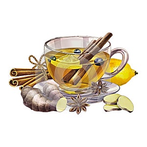 A cup of tea with lemon, ginger, cinnamon and star anise. A glass transparent cup filled with tea. a hand-drawn