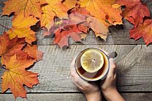 Cup of tea with lemon in hand, colorful autumn leaves on wooden board. Fall still life, vintage style.
