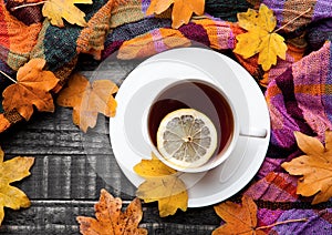 Cup of tea with lemon with scarf and autumn leaves