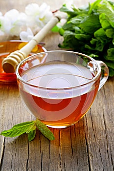 Cup of tea with mint and honey