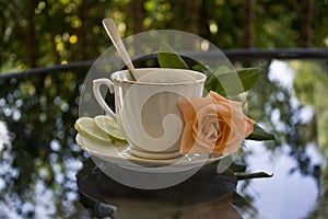 A cup of tea with orange rose