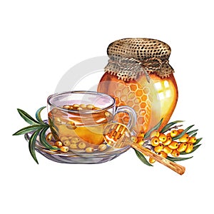 A cup of tea with sea buckthorn and honey. Useful vitamin drink for colds. Watercolor hand drawn illustration. Isolate