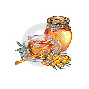 A cup of tea with sea buckthorn and honey. Useful vitamin drink for colds. Watercolor illustration. Isolate. For design