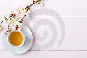 Cup of tea and spring flowers blooms of an Apricot on a light pink wooden table