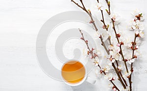 Cup of tea and spring flowers blooms of an Apricot on  old wooden shabby table