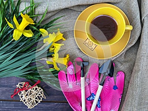 A Cup of tea stands on a table with yellow flowers daffodils and gardening tools.