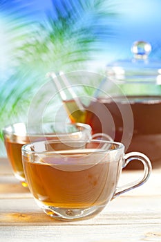 Cup of tea and teapot on nature background