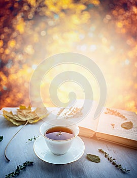 Cup of tea with thyme, autumn leaves and open book on wooden window sill on nature autumn blured background
