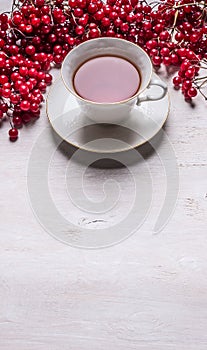 Cup of tea on a white circle on a white saucer with berries Kalina space for text