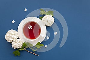 Cup of tea and white flowers on blue background, top view