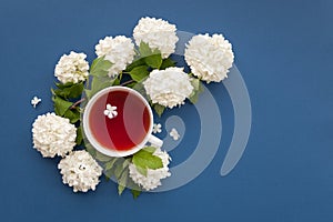 Cup of tea and white flowers on blue background, top view