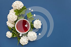 Cup of tea and white flowers on blue background, top view