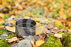 Cup of tea on yellow foliage. Thermos. Walk in the autumn forest