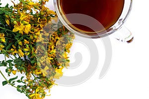 Cup of tea and yellow Hypericum flowers out of focus in background isolated on white background with free space for text
