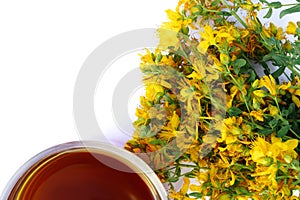 Cup of tea with yellow tutsan flowers isolated on white background with copy space