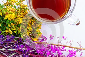 Cup of tea with yellow tutsan, purple fireweed flowers on white background