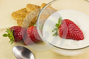 Cup of white and strawberry yogurt photo