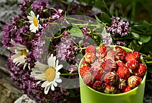 Cup of wild strawberries and herbs