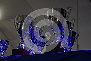 Cup of the winner. Award. Prize.