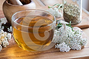 A cup of yarrow tea with fresh yarrow