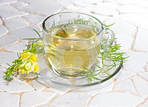 Cup of yellopw toadflax infusion photo