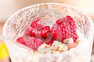 Cup of yogurt with granola and raspberry