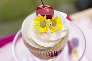 Cupcake with Cherries and Flower
